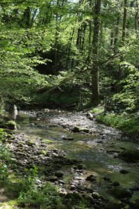 Ruisseau du Marais de l'Aile