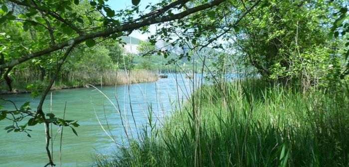 Contrat de bassin Fier & Lac d'Annecy