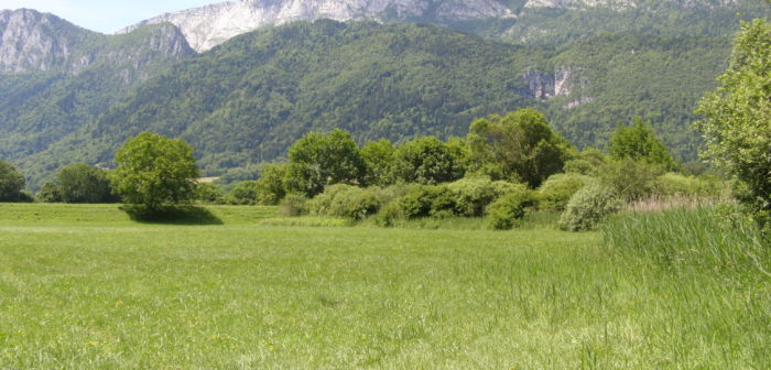 La protection des zones humides