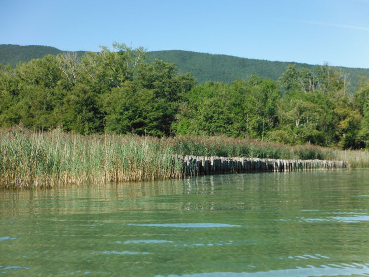 Marais de l'Enfer et roselières de Saint-Jorioz