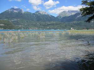 Mise en place de palissades pour protéger les roselières - JPG - 536 Ko