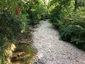 Cours du Laudon à sec pendant l’été