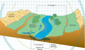 L'espace de bon fonctionnement